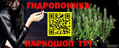 герыч Ливны