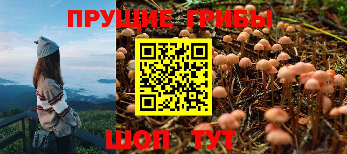 Псилоцибиновые грибы Psilocybe  Псилоцибиновые грибы прущие грибы  закладки  Вход с VPN  Дубна 